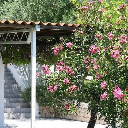 Affittacamere Stosic 3*