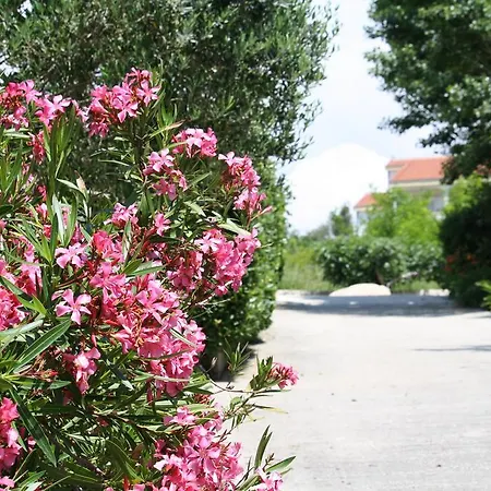 Stosic Affittacamere 3*