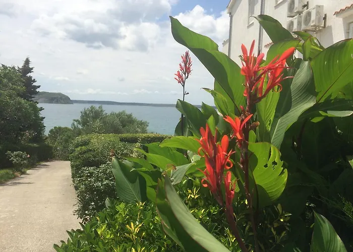 Stosic Πανσιόν Ražanac