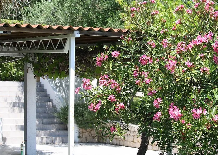 Πανσιόν Stosic 3*