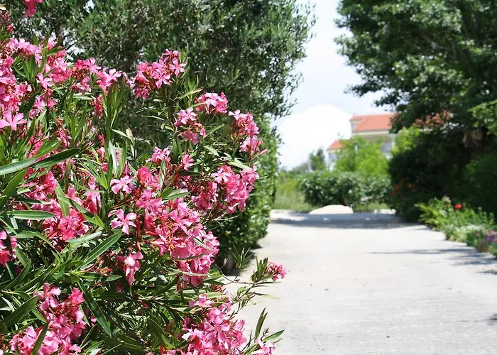 Stosic Πανσιόν 3*